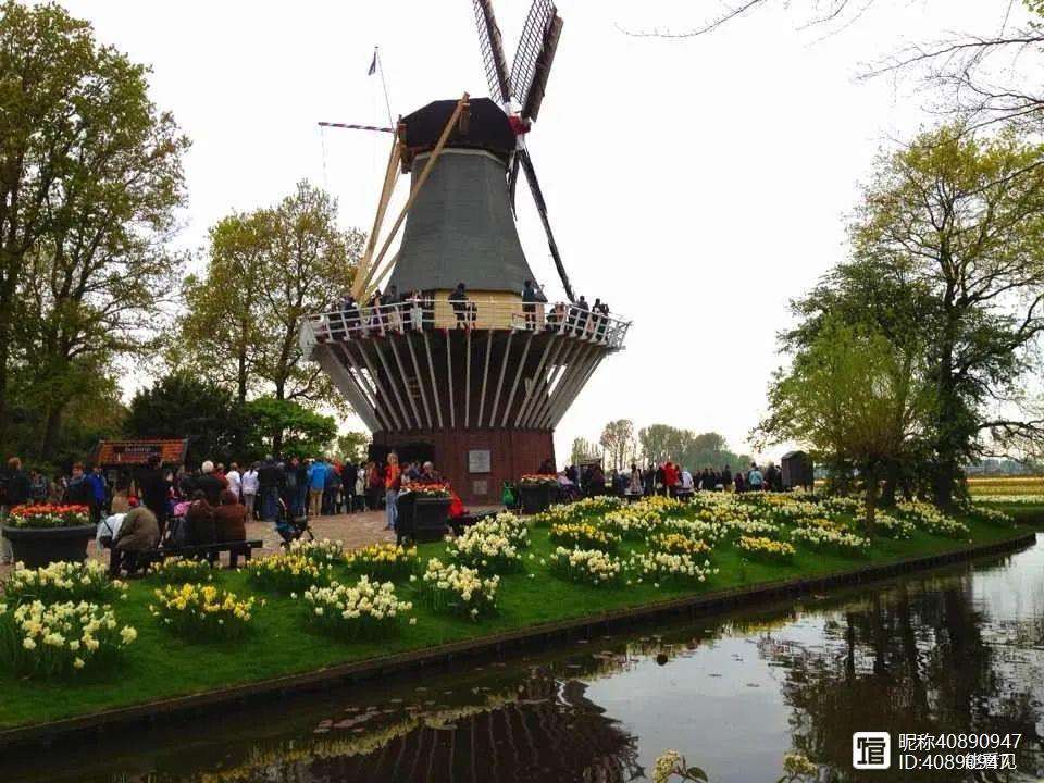 包含比利时与荷兰缠斗不分，势均力敌的词条